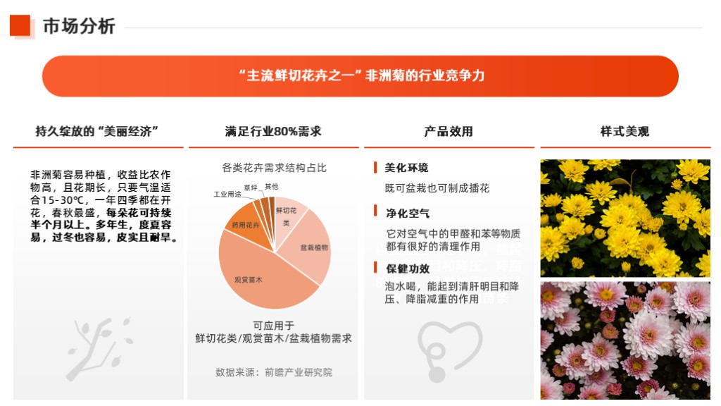 非洲菊生态种植行业园商业计划书范文-undefined