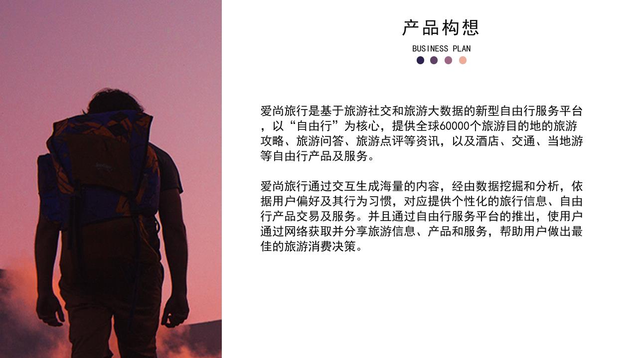 新型旅游服务平台商业计划书-undefined